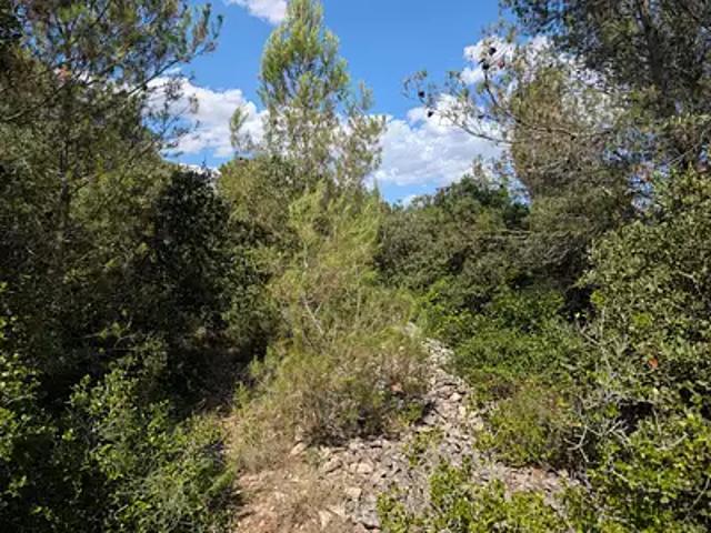 Terrain vente à Milhaud, Gard