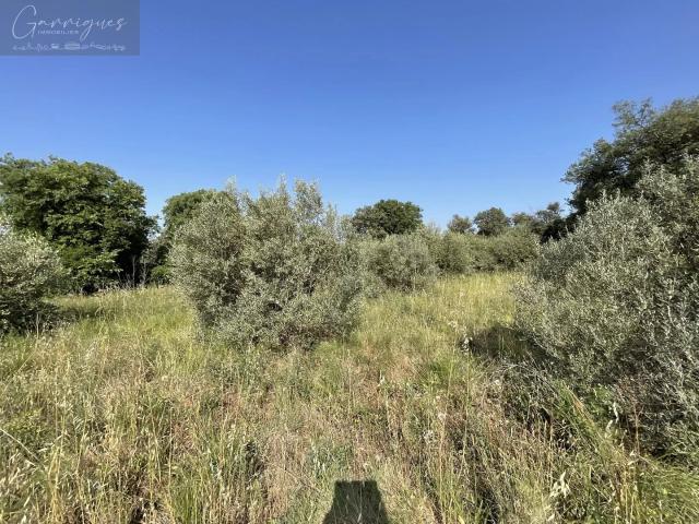Terrain vente à France métropolitaine, Gardanne