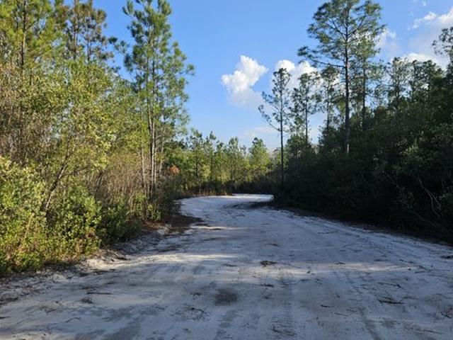 Land for sale in Pembroke, Bryan County