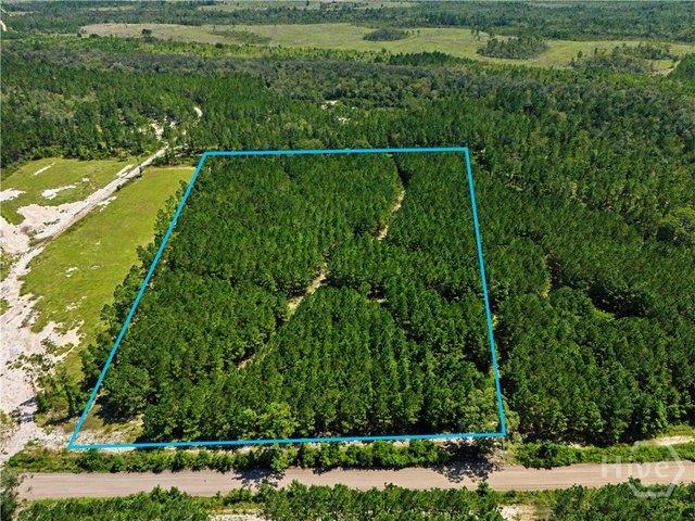 Land for sale in Pembroke, Georgia