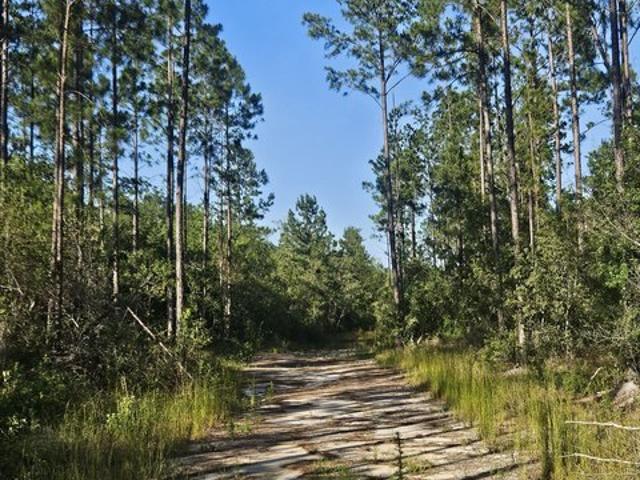 Land for sale in Pembroke, Bryan County