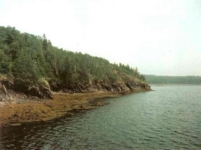 Land for sale in Lubec, Maine