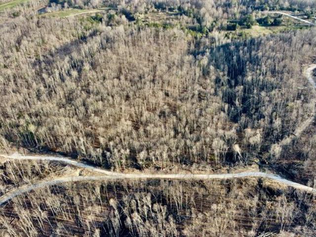 Land for sale in Tennessee