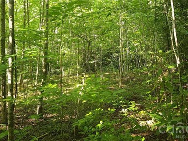 Land for sale in Old Fort, North Carolina