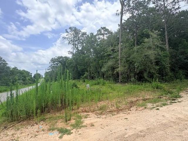 Land for sale in Village Mills, Texas