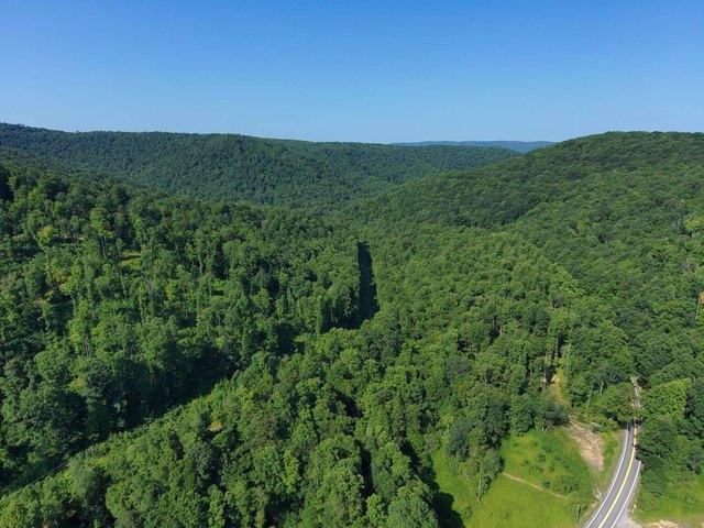 Land for sale in Mill Creek, West Virginia