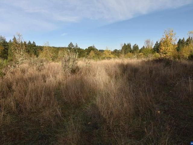 Land for sale in Oregonia