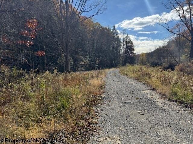 Land for sale in Mill Creek, West Virginia