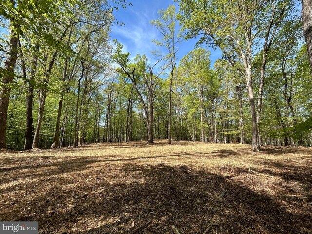 Land for sale in Clifton