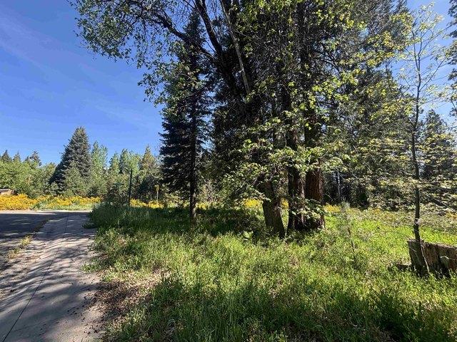 Land for sale in Mccloud, California