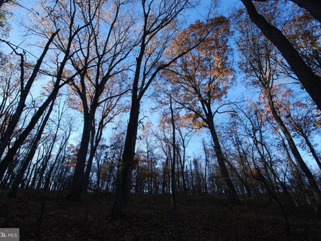 Land for sale in Romney, West Virginia