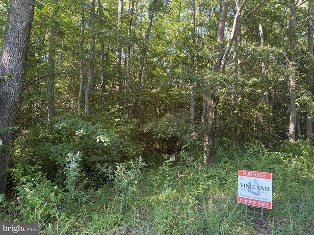 Land for sale in Hancocks Bridge, New Jersey