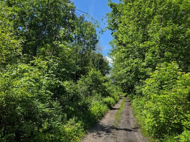 Land for sale in Brushton, New York