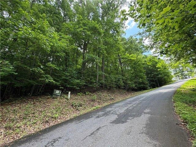 Land for sale in Hiawassee, Georgia