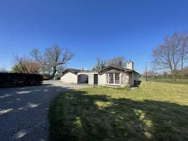 House to rent