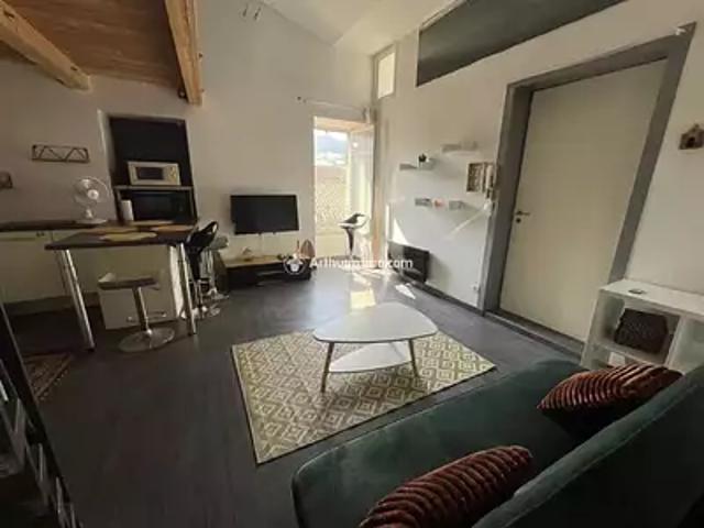 Appartement location à Millau