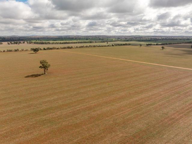 Acreage for sale in Old Junee, New South Wales
