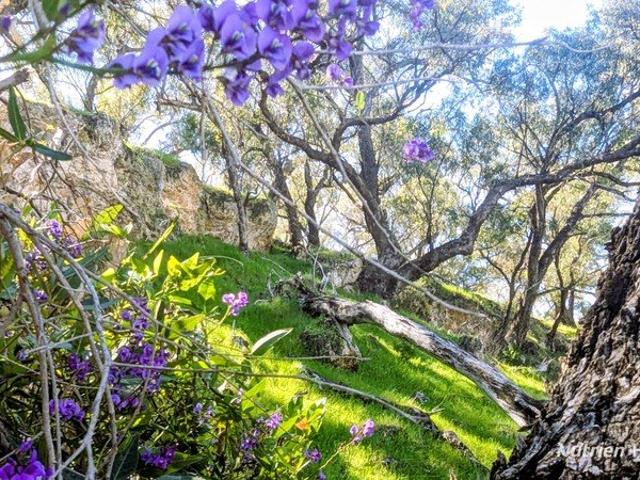 Cottage for sale in Cowalla, Western Australia