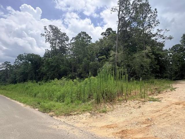 Land for sale in Village Mills, Texas