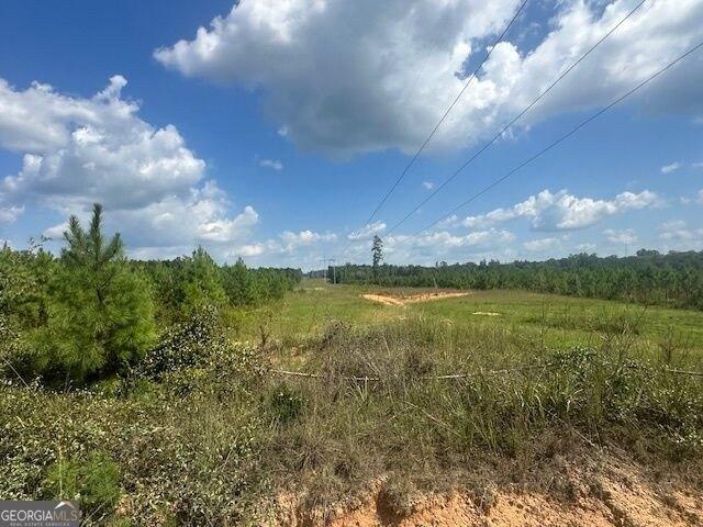 Land for sale in Monticello, Georgia