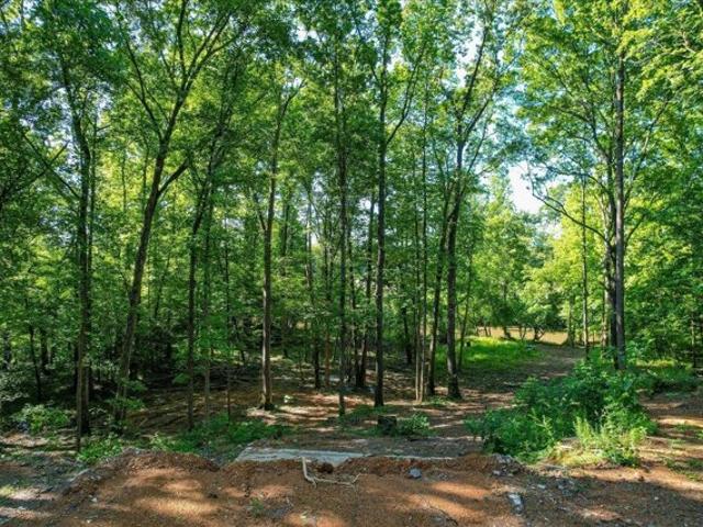 Land for sale in Dalton, Georgia