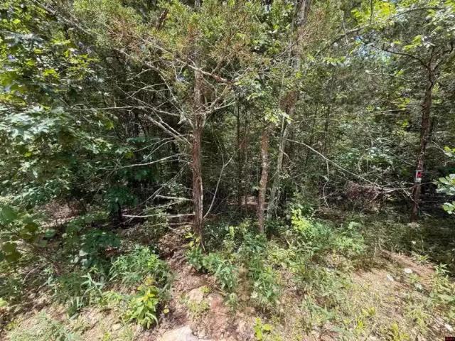 House for rent in Mountain Home