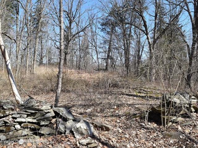 Land for sale in Rhinebeck