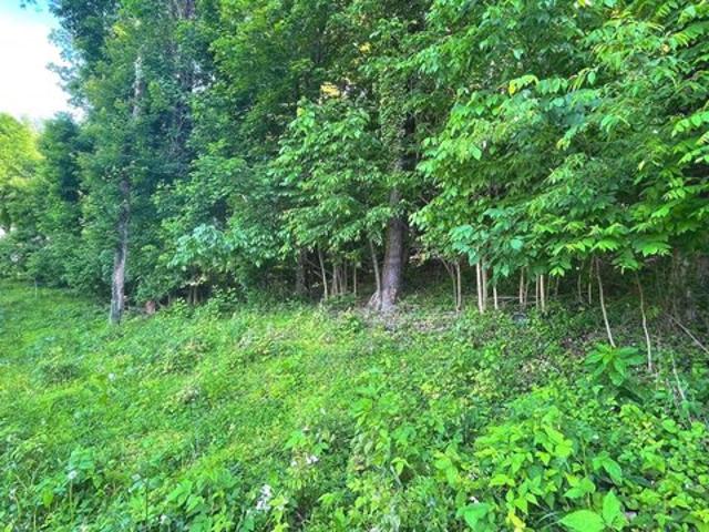 Land for sale in Ridgeley, West Virginia