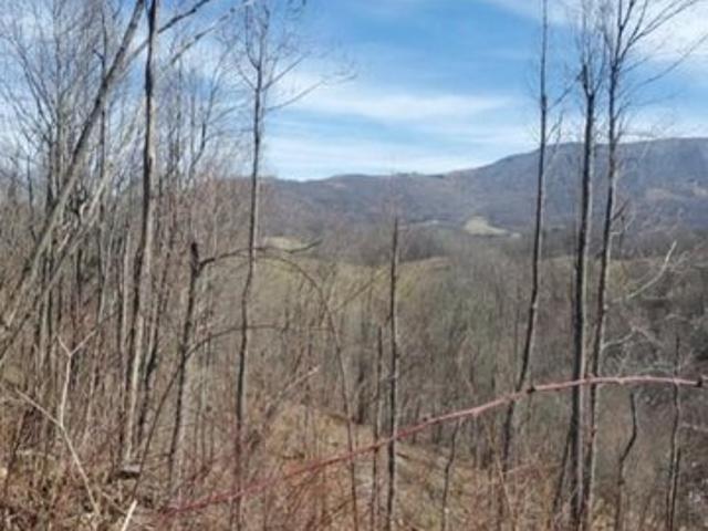 Land for sale in Tennessee