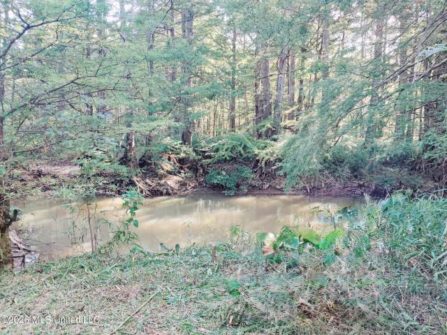 Land for sale in Miller, Olive Branch