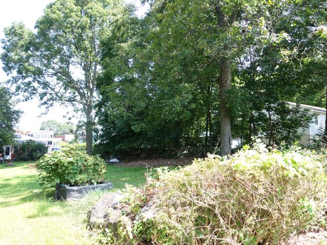 Land for sale in Waterbury, Connecticut