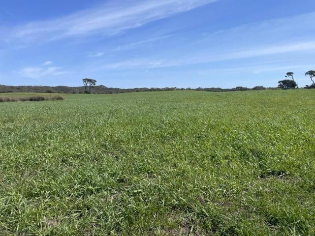 Land for rent in Millicent, South Australia