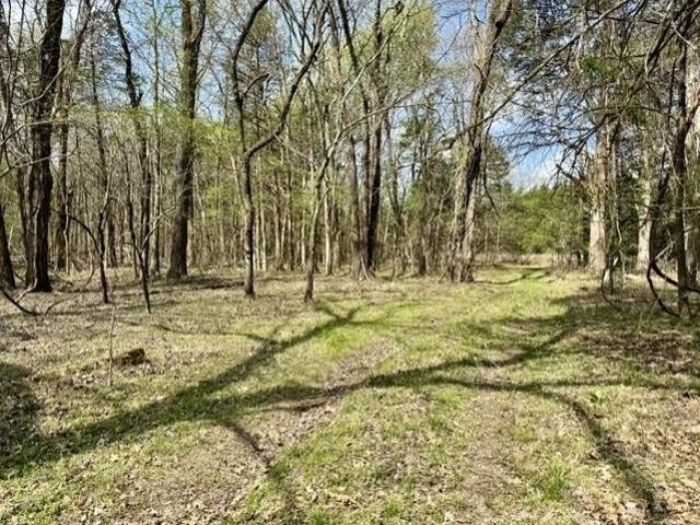 Land for sale in Ark