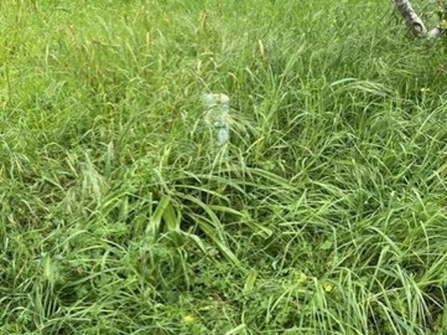 Land for sale in Lodge Hill, Cambria