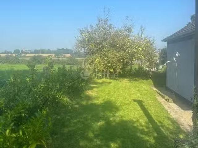 House to rent