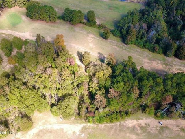 Land for sale in Wesson, Mississippi
