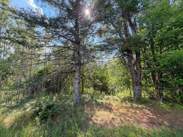 Land for sale in Bucksport, Maine