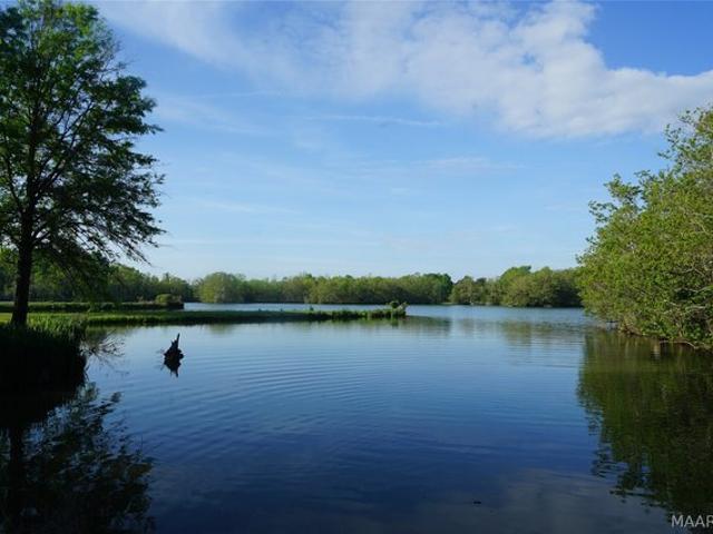 Land for sale in Cecil, Alabama