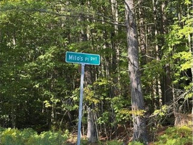 Land for sale in Worcester, Vermont