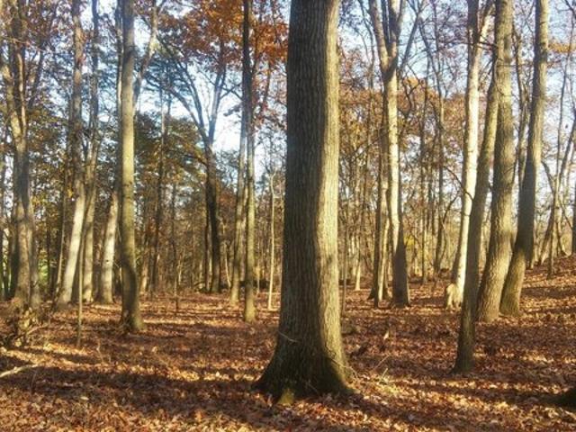 Land for sale in New Columbia