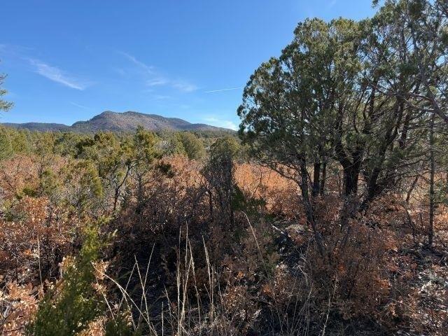 Land for sale in Timberon, New Mexico