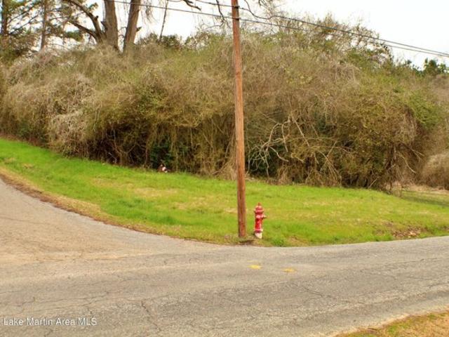 Land for sale in Alexander City