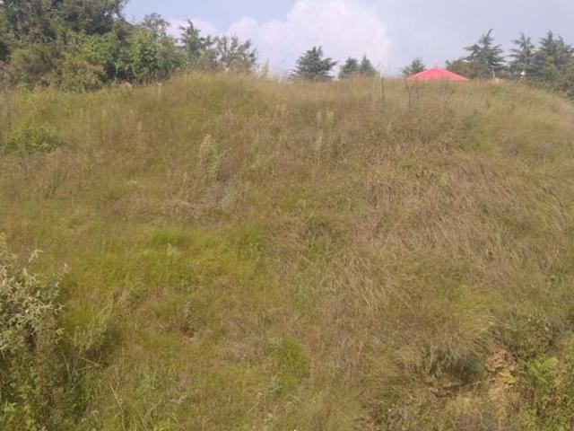 Land for sale in Zirakpur, Punjab