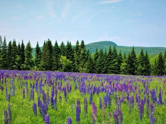 Land for sale in Milton, Vermont