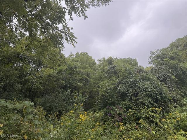 Land for sale in Woodsfield, Ohio
