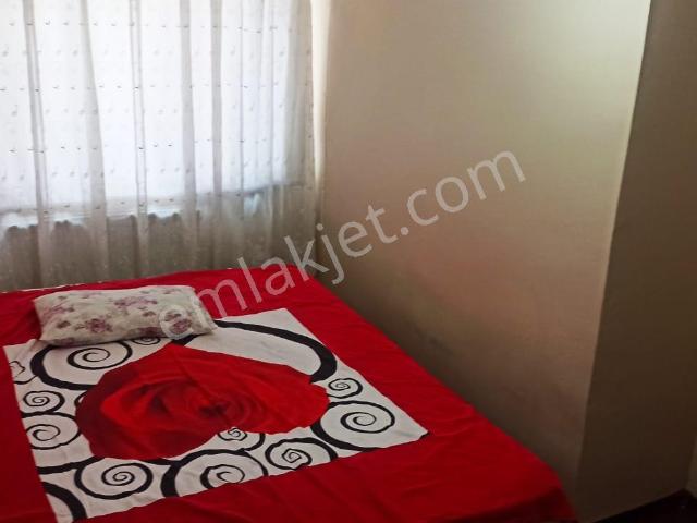 Körfez, Kocaeli içerisinde kiralık mülk