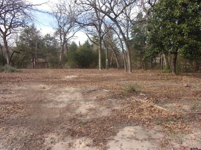 Land for sale in Murchison, Texas