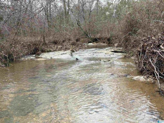 Land for sale in Clanton, Alabama