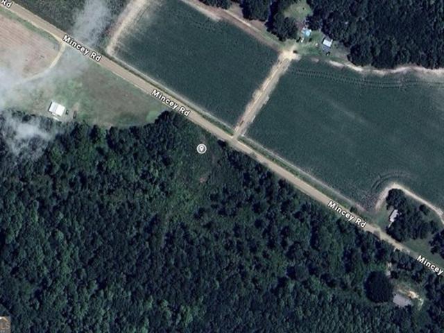 Land for sale in Brooklet, Bulloch County
