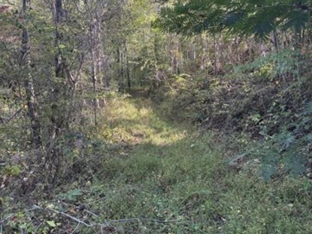 Land for sale in Reliance, Tennessee